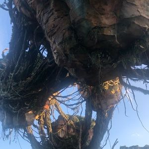 Meet your Posher, Kenzie